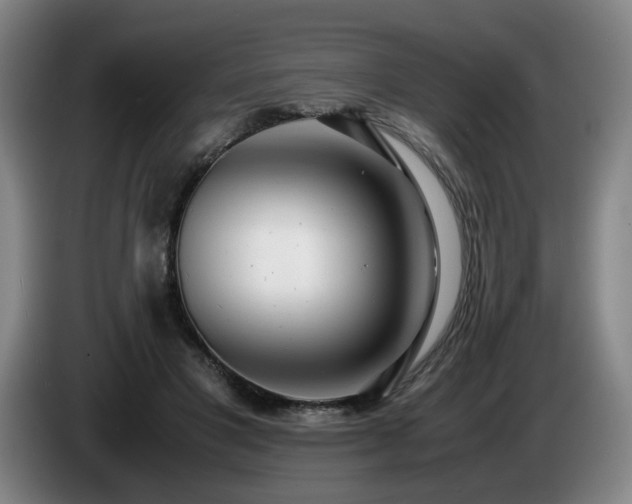 X0000085210501200703091142