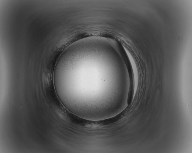 X0000085210503200703091142