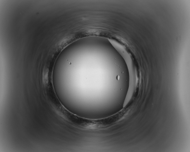 X0000085210504200703091142
