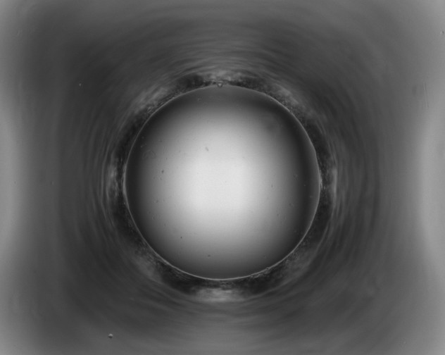 X0000085210506200703091142