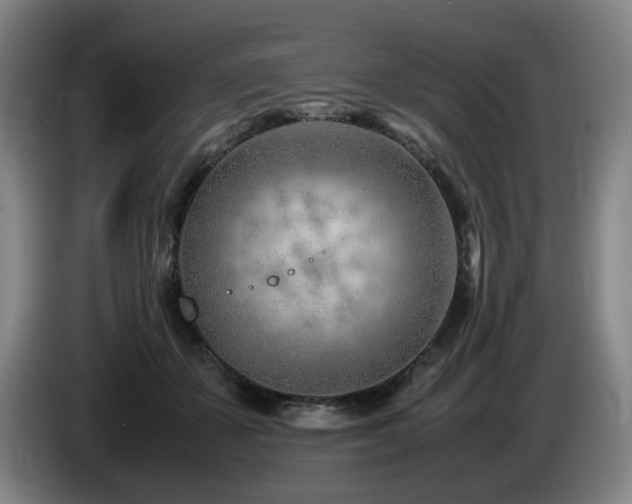 X0000085210507200703091142