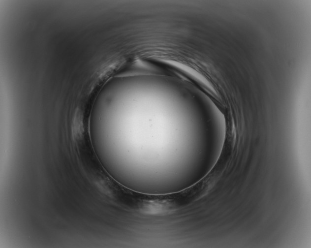 X0000085210508200703091142