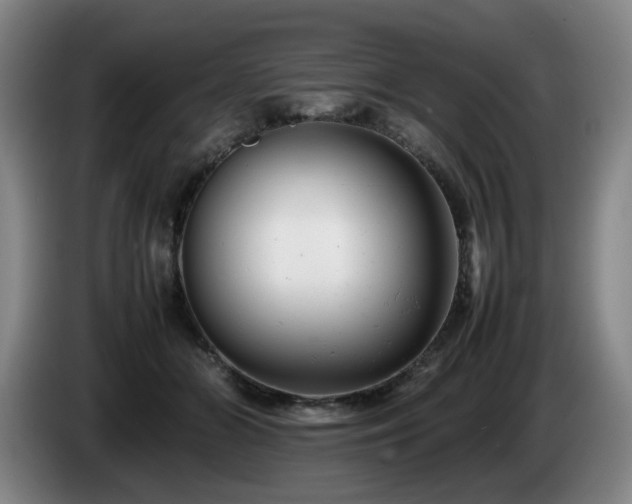X0000085210510200703091142