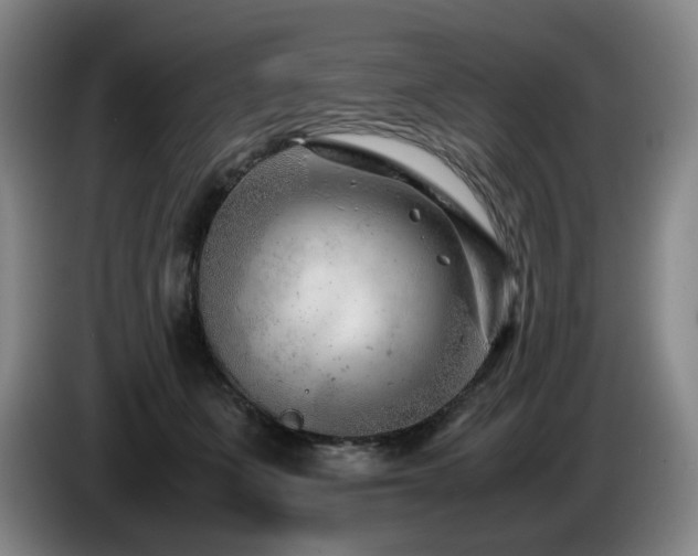 X0000085210511200703091141