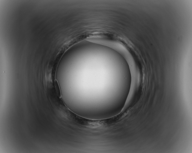 X0000085210516200703091141