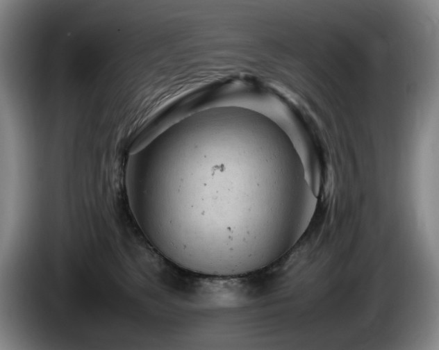X0000085210517200703091141