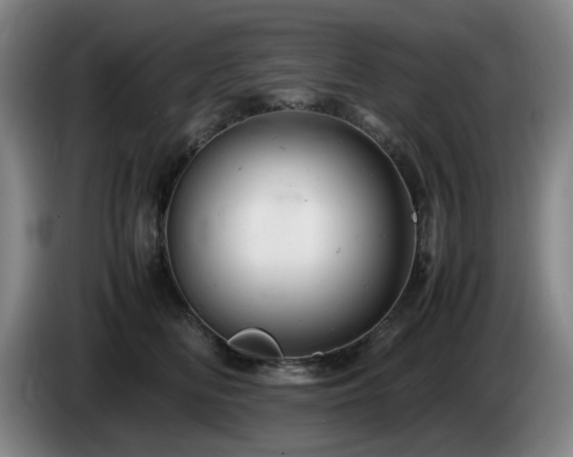 X0000085210518200703091141