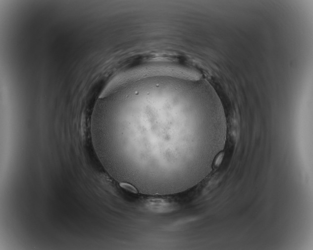X0000085210519200703091141
