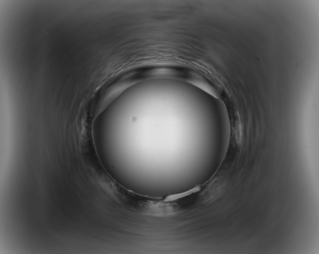 X0000085210520200703091141