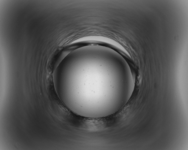 X0000085210521200703091141