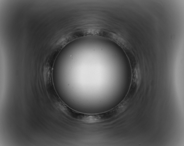 X0000085210522200703091141