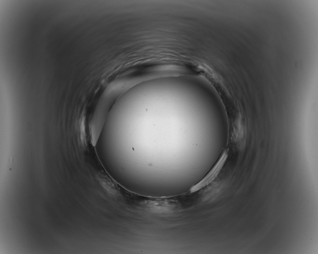 X0000085210524200703091141