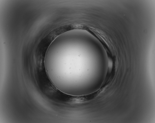 X0000085210525200703091141