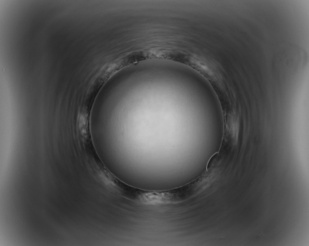 X0000085210526200703091141