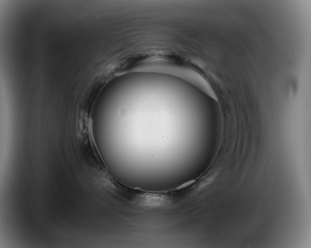 X0000085210528200703091141