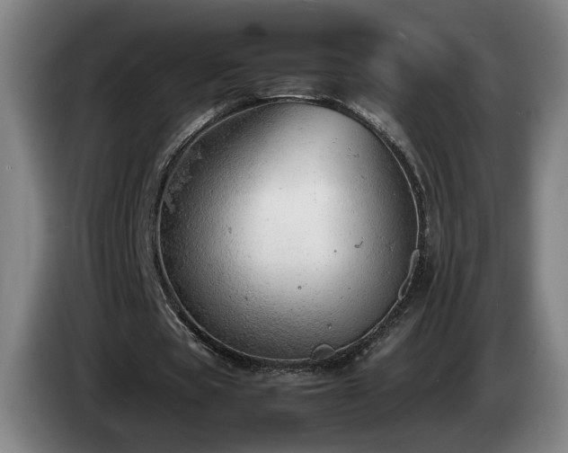 X0000085210529200703091141
