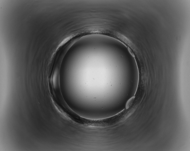 X0000085210530200703091141