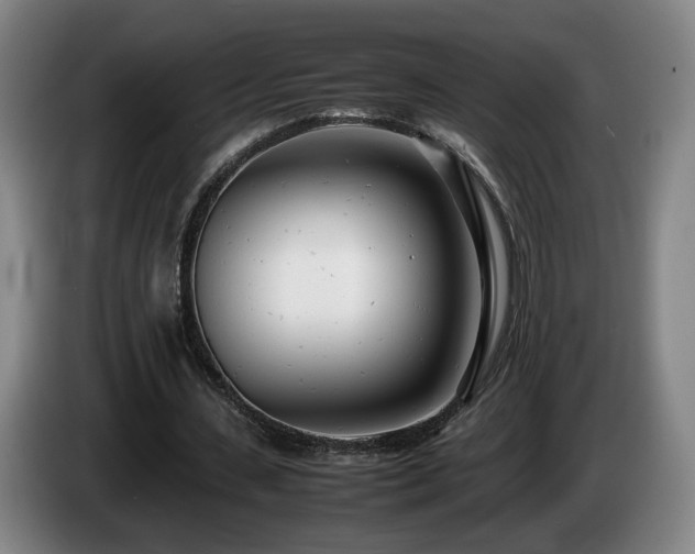 X0000085210531200703091141