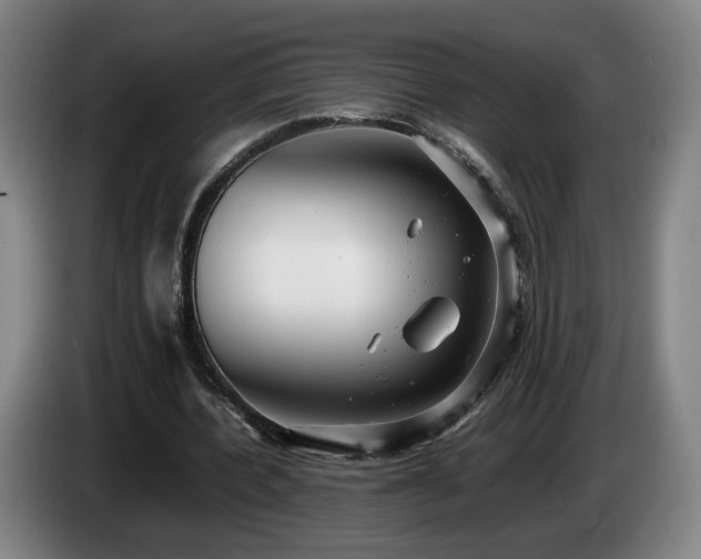 X0000085210532200703091141