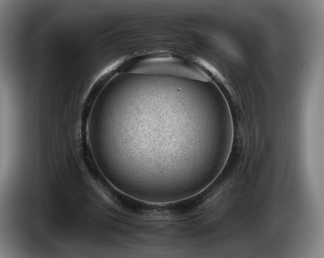 X0000085210535200703091141