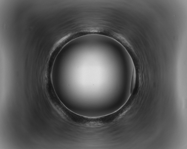 X0000085210536200703091141