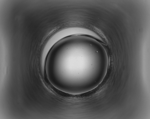 X0000085210538200703091141