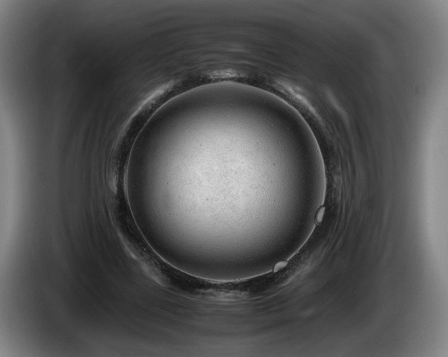X0000085210539200703091141