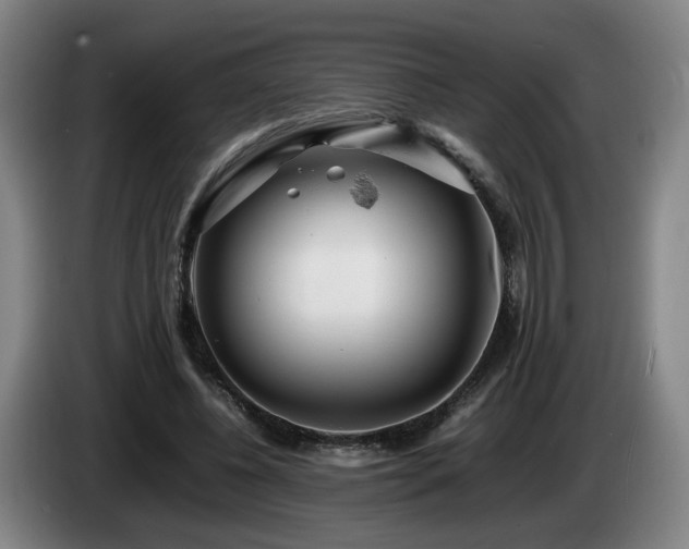 X0000085210540200703091141