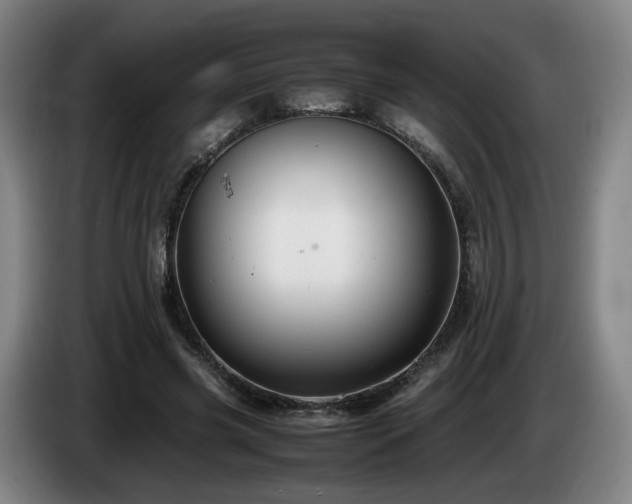 X0000085210541200703091141