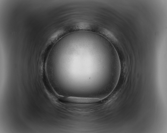 X0000085210542200703091141