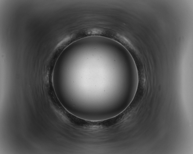 X0000085210543200703091141