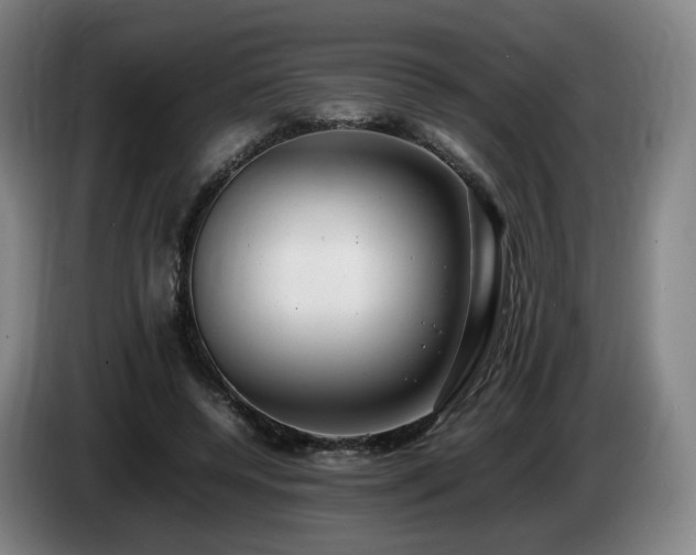 X0000085210544200703091141