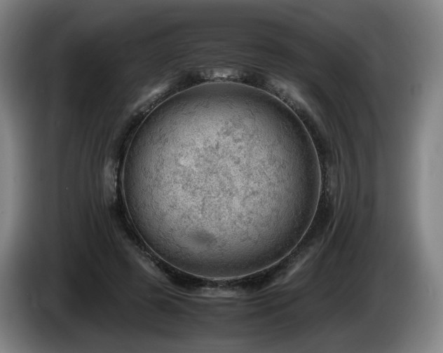 X0000085210545200703091141