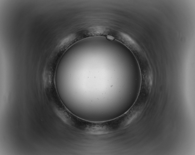 X0000085210546200703091141