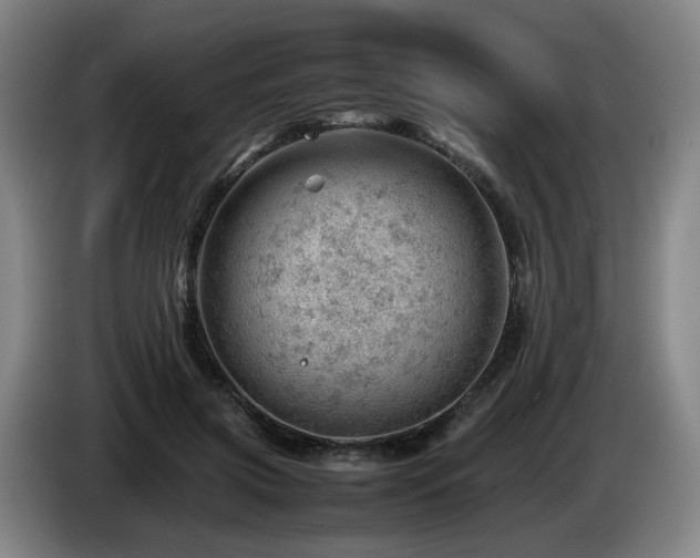 X0000085210549200703091141