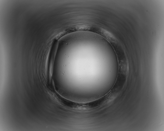 X0000085210550200703091141