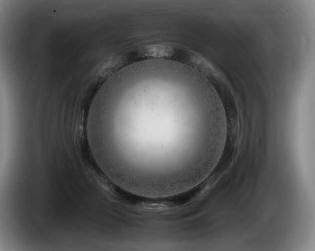 X0000085210553200703091141