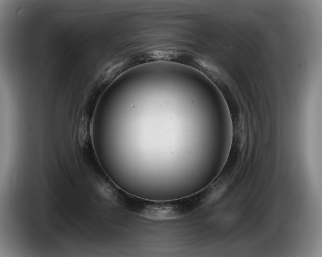 X0000085210554200703091141