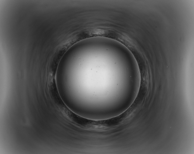X0000085210555200703091141