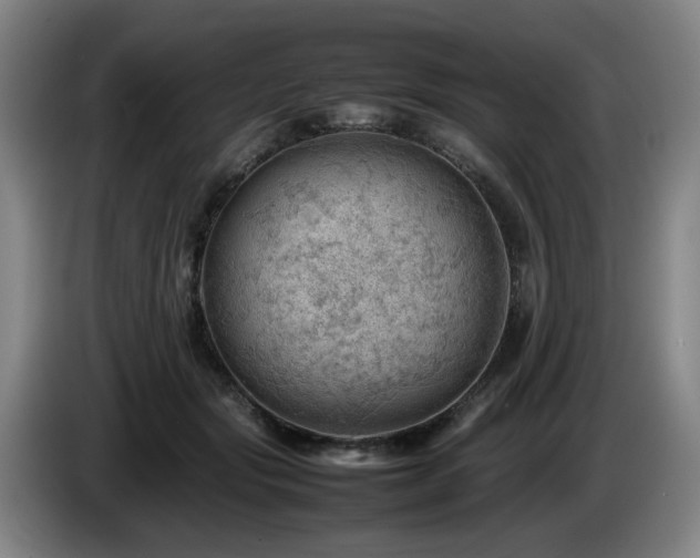 X0000085210557200703091141