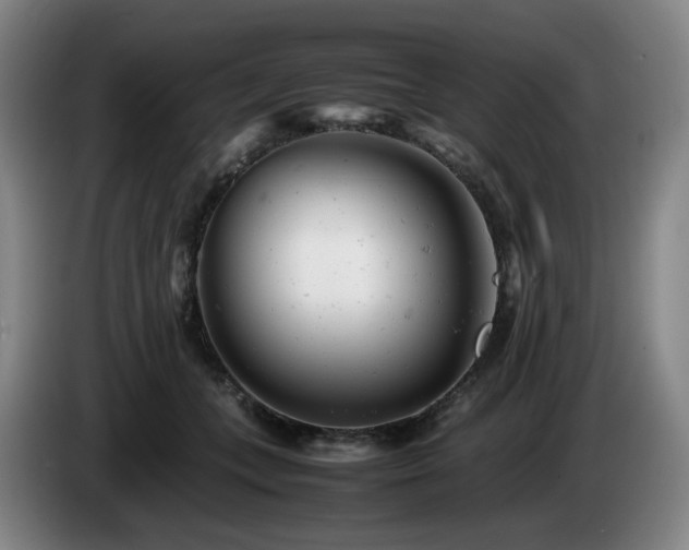X0000085210559200703091141