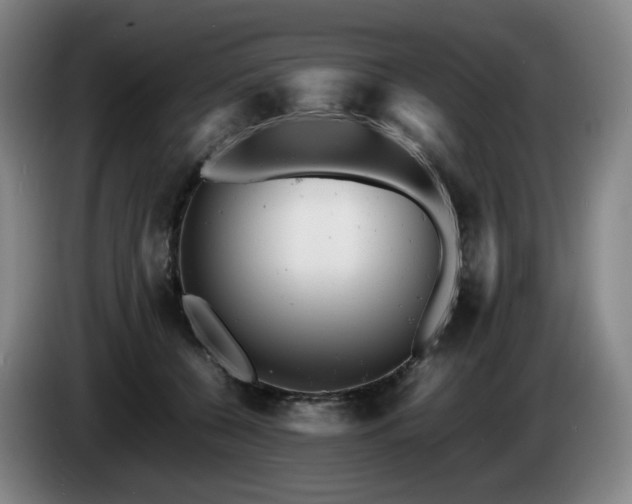 X0000085210560200703091141