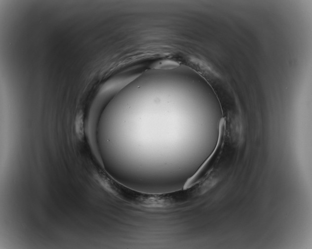 X0000085210562200703091141
