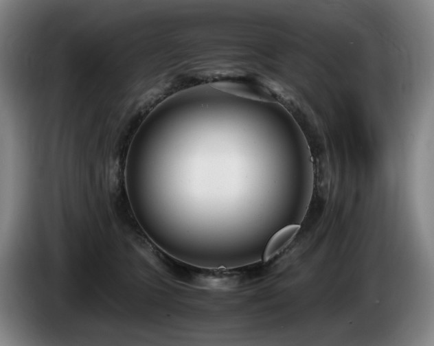 X0000085210563200703091141
