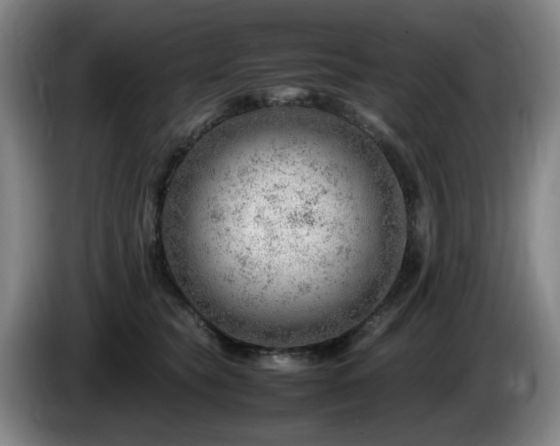 X0000085210565200703091141