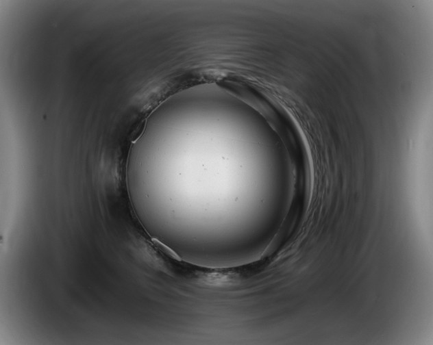 X0000085210566200703091141