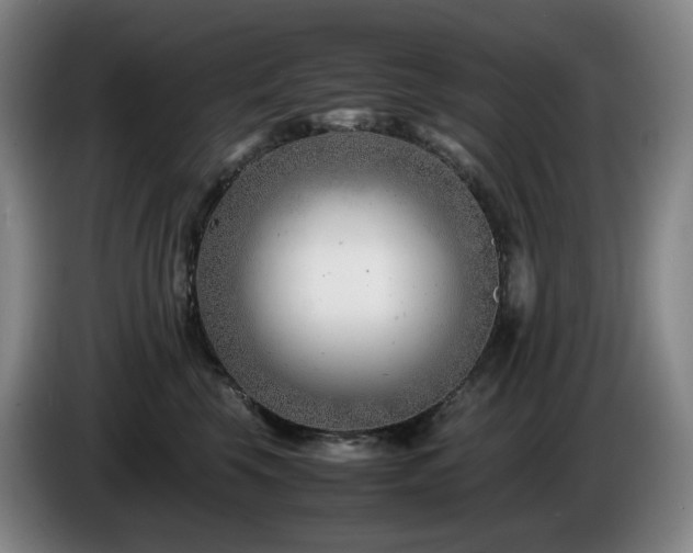 X0000085210569200703091141