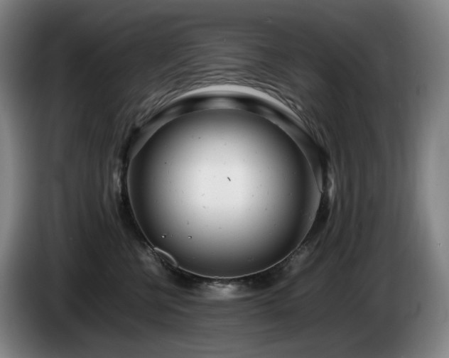 X0000085210570200703091141