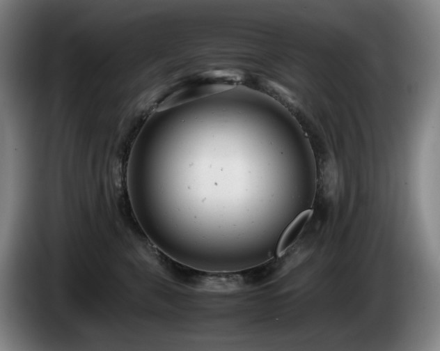 X0000085210571200703091141