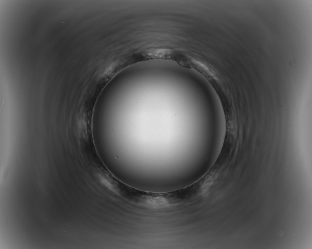X0000085210572200703091141